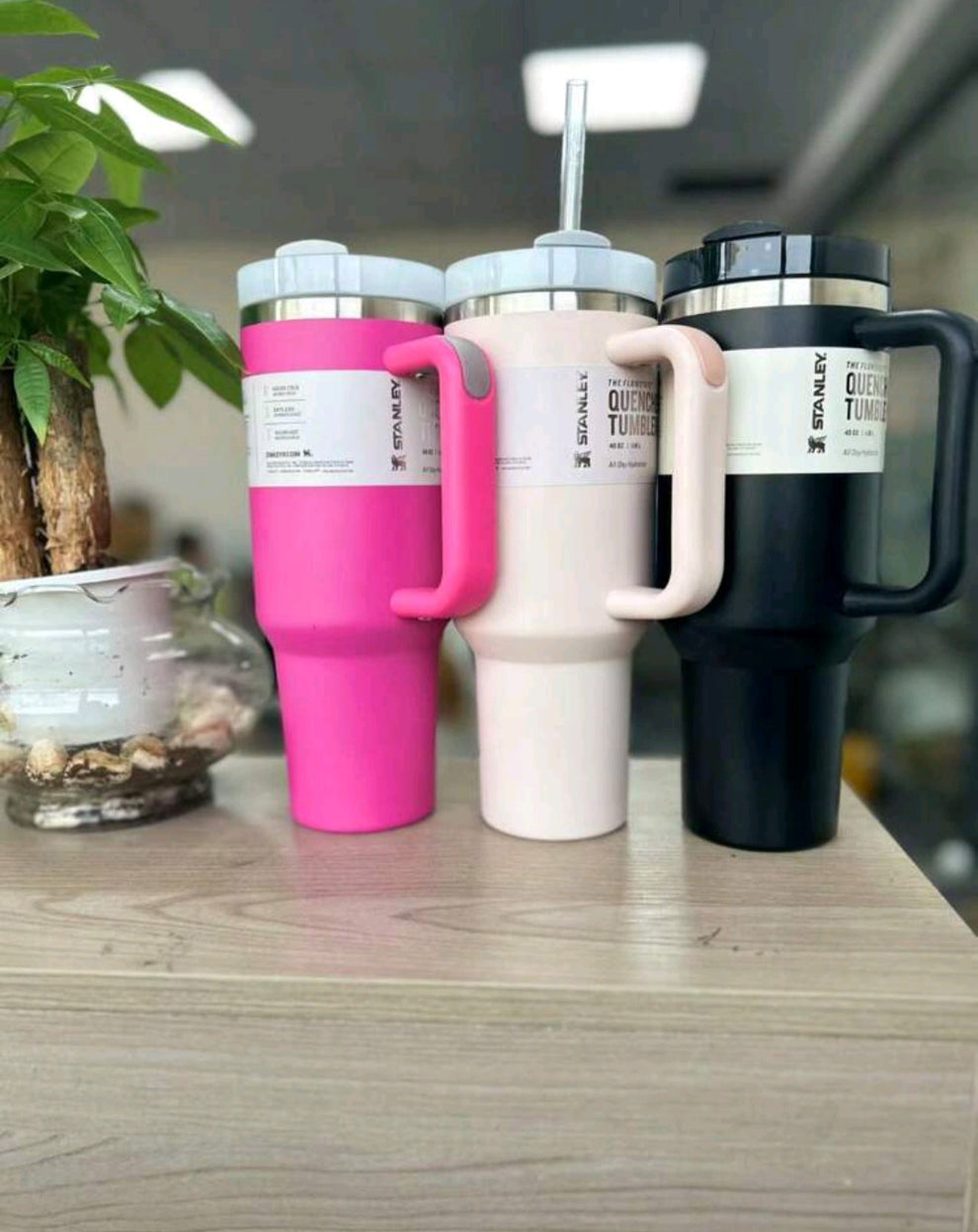 viral Stanley cups with box